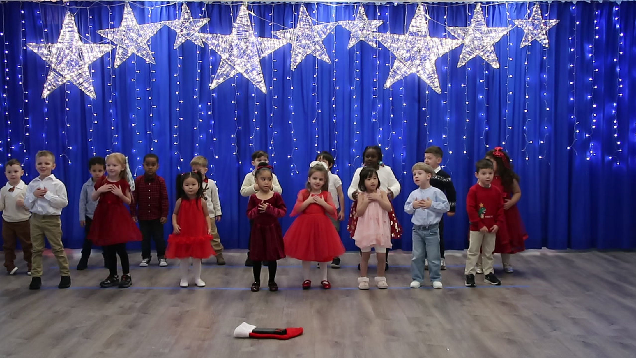 2025 Christmas Show - Frogs